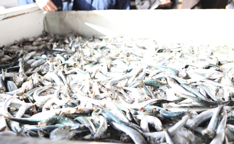 地域の恵みを未来へ